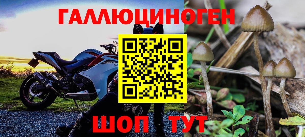 Алушта  Галлюциногенные грибы прущие грибы  Вход с VPN 